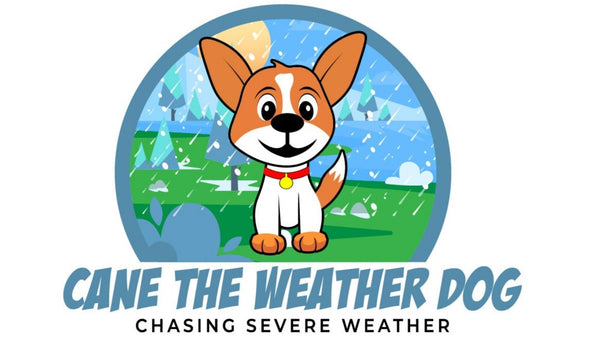 CaneTheWeatherDog