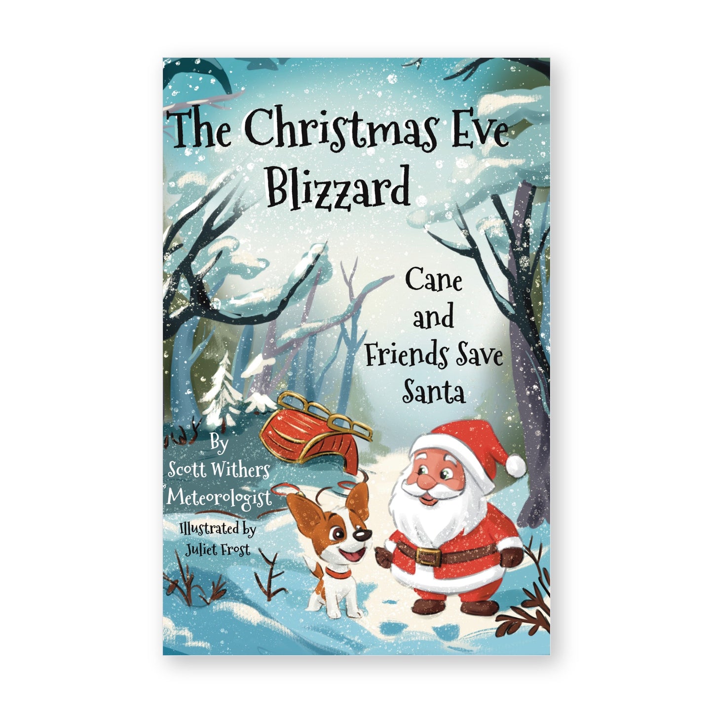 The Christmas Eve Blizzard - Hardcover
